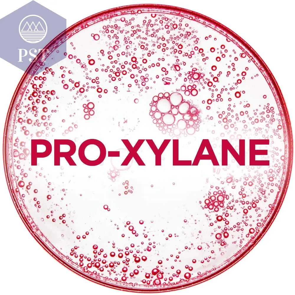 L'Oreal Paris Revitalift Gesichtspflege Anti-Aging Nachtcreme Intensiv PST PS Tradings PST PS Tradings PST PS Tradings L'Oreal Paris Revitalift Gesichtspflege Anti-Aging Nachtcreme Intensiv
